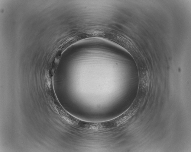 X0000059080420200510211547