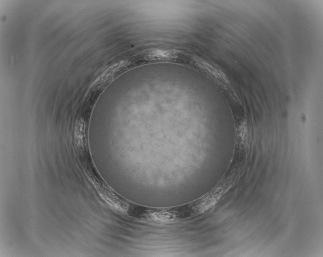 X0000059080423200510211547