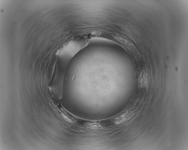 X0000059080424200510211547