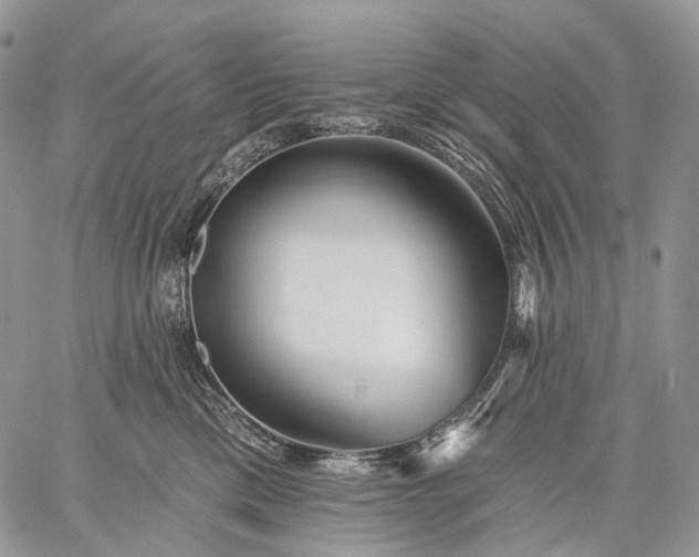 X0000059080425200510211546