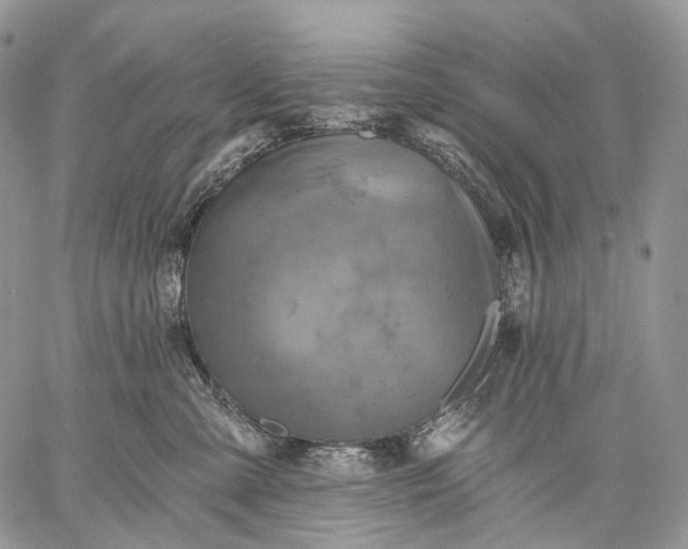 X0000059080427200510211546