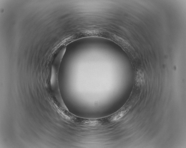 X0000059080428200510211546