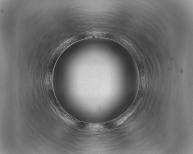 X0000059080429200510211546