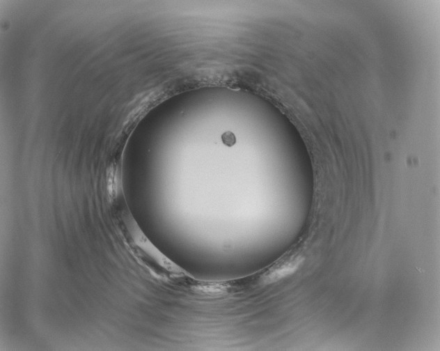 X0000059080432200510211546