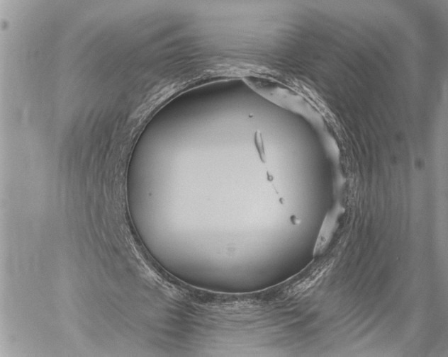 X0000059080433200510211546