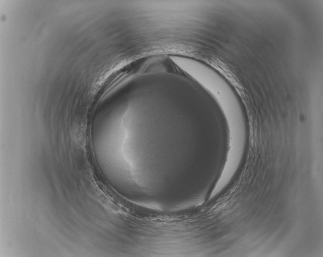 X0000059080434200510211546