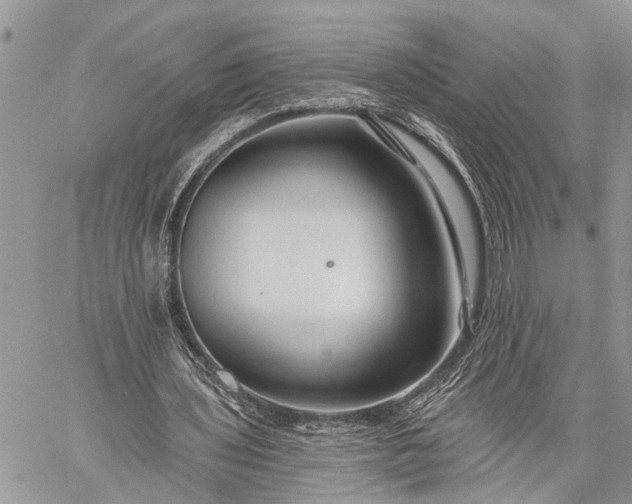 X0000059080435200510211546