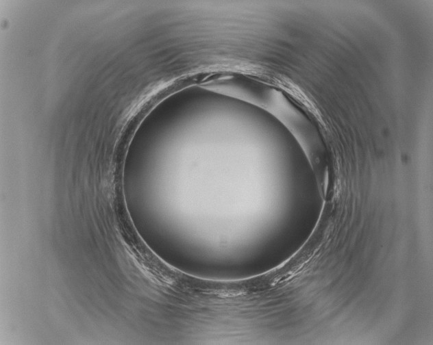 X0000059080436200510211546