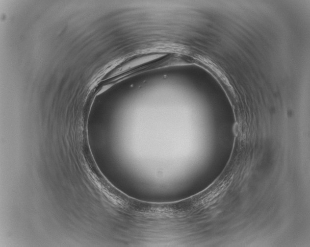 X0000059080437200510211546