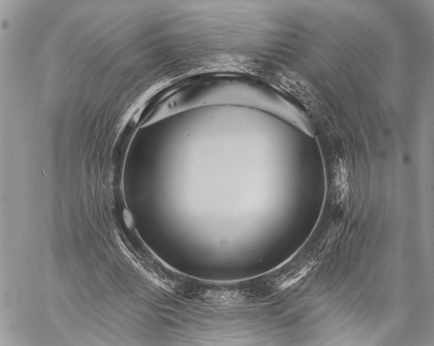 X0000059080440200510211546