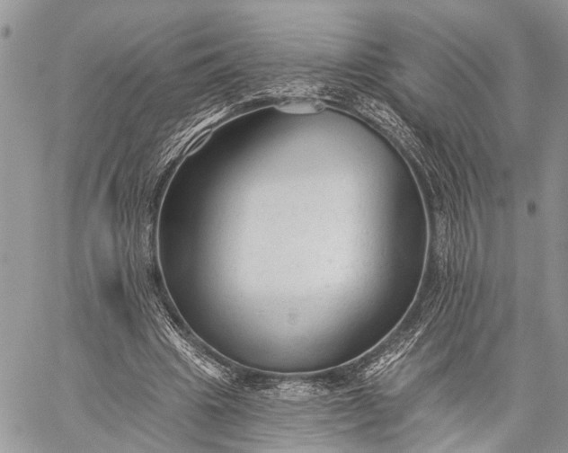 X0000059080441200510211546