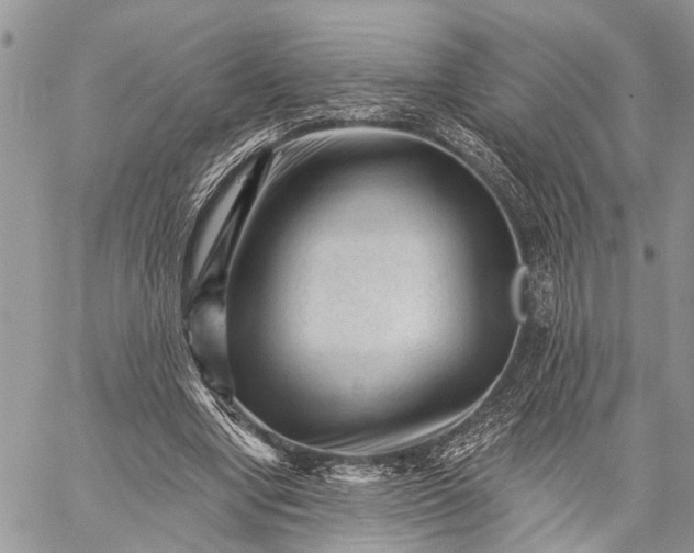 X0000059080442200510211546