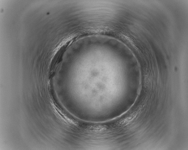 X0000059080443200510211546