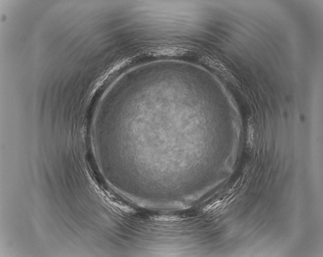 X0000059080444200510211546