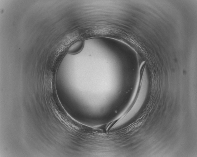 X0000059080446200510211546