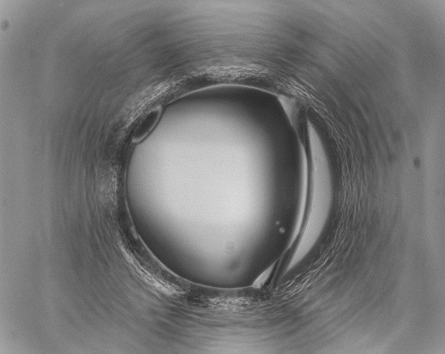 X0000059080448200510211546