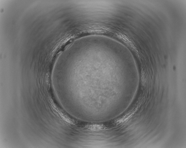 X0000059080449200510211546