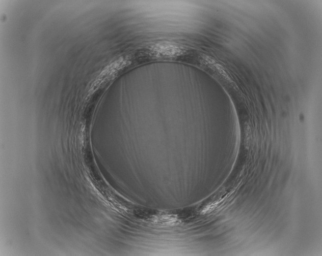 X0000059080451200510211546