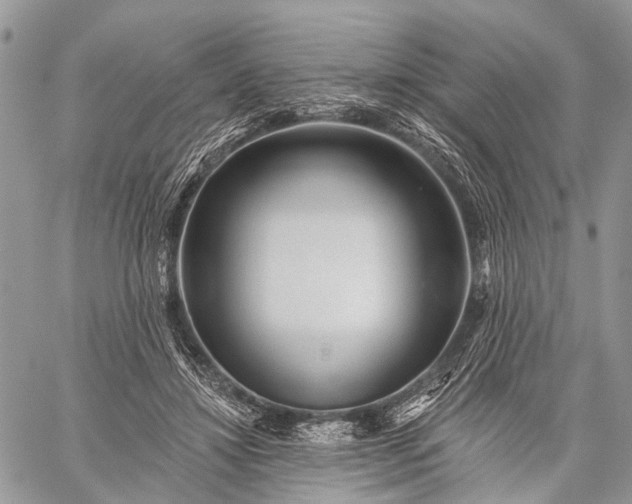 X0000059080452200510211546