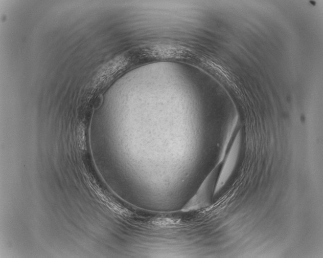 X0000059080453200510211546