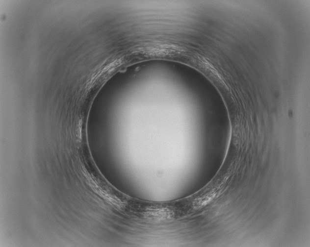 X0000059080454200510211546