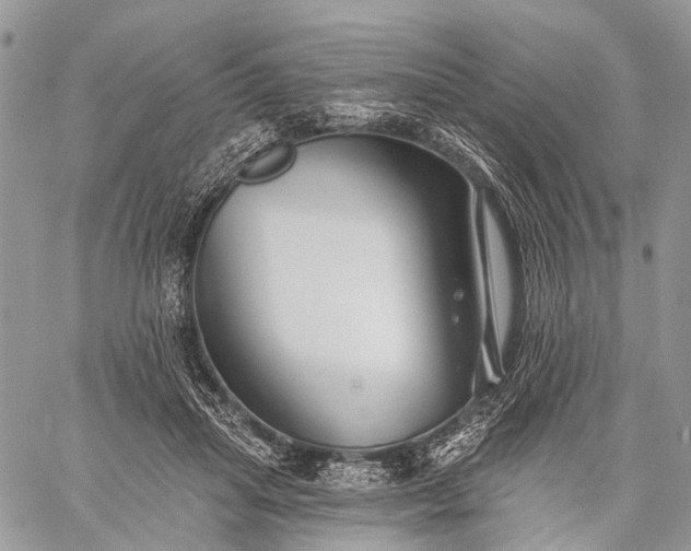 X0000059080455200510211546