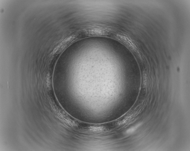 X0000059080457200510211546