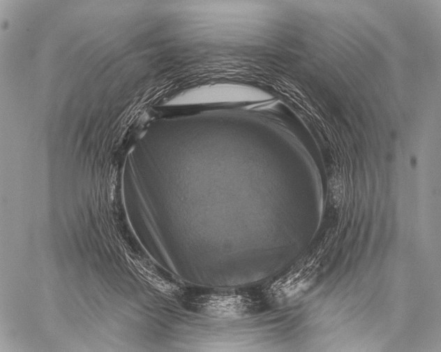 X0000059080458200510211546