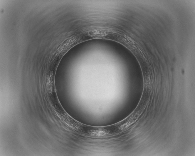 X0000059080460200510211546