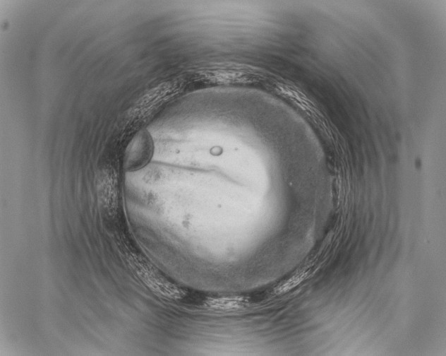 X0000059080461200510211546