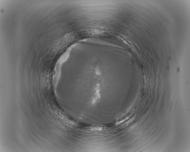 X0000059080462200510211546