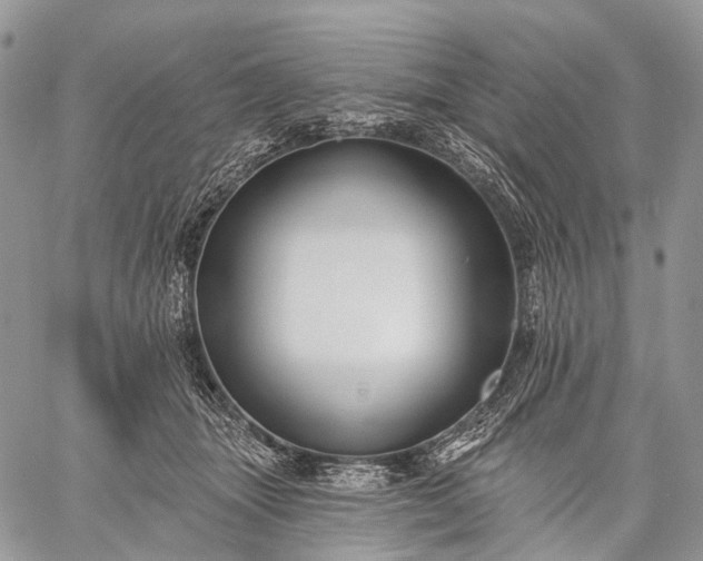 X0000059080463200510211546