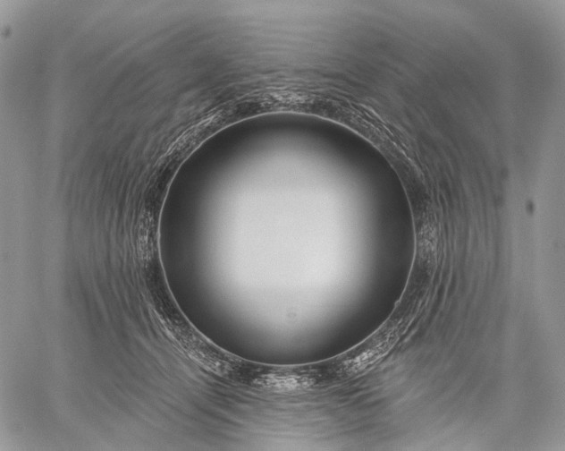 X0000059080464200510211546