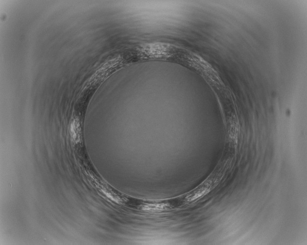 X0000059080465200510211546