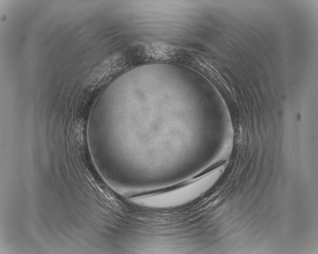 X0000059080466200510211546