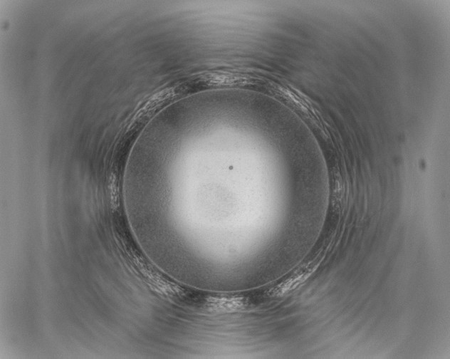 X0000059080469200510211546