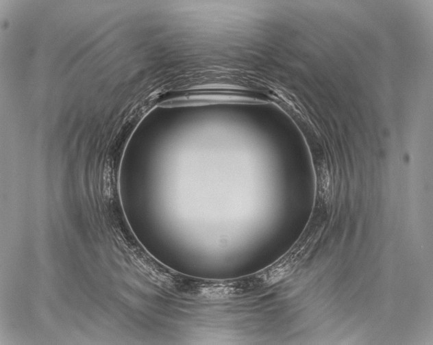 X0000059080470200510211546