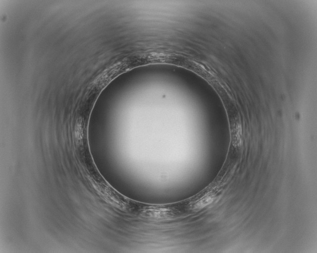 X0000059080472200510211546