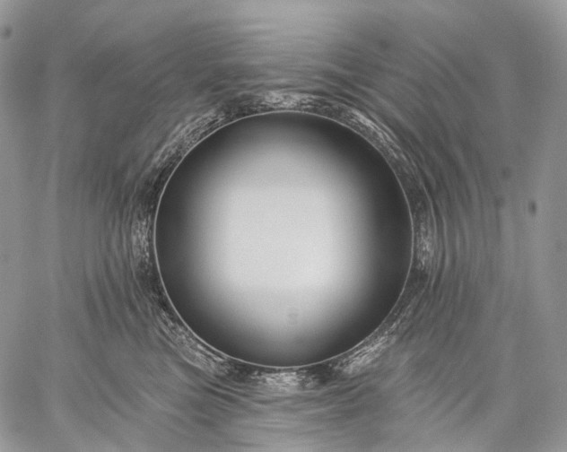 X0000059080473200510211546