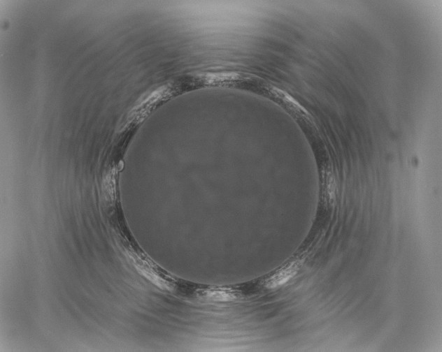 X0000059080475200510211546