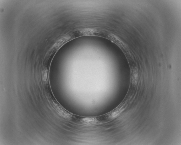 X0000059080477200510211546