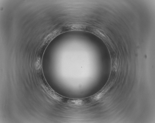 X0000059080478200510211546