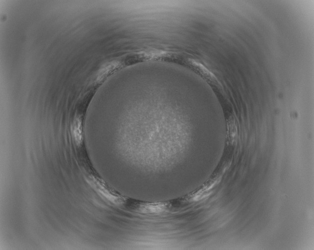 X0000059080479200510211546