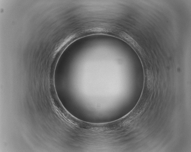 X0000059080482200510211546