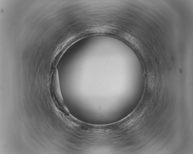 X0000059080486200510211545