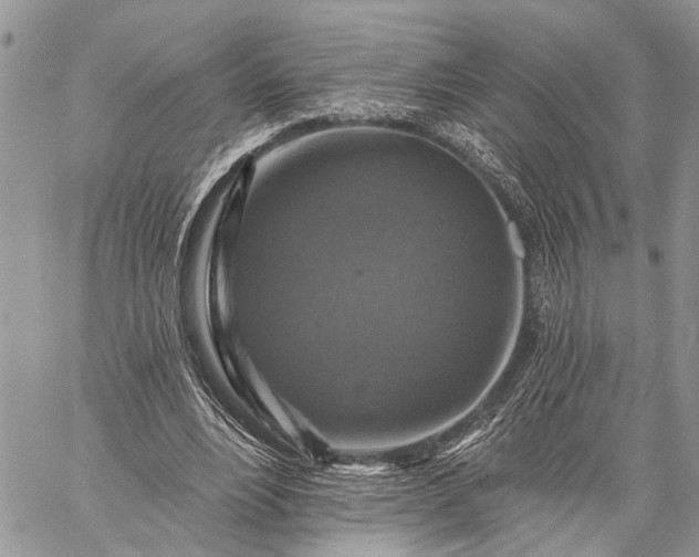 X0000059080488200510211545