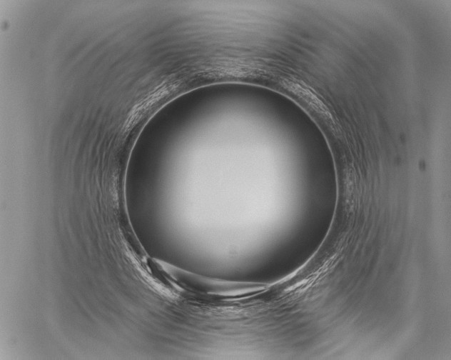 X0000059080489200510211545