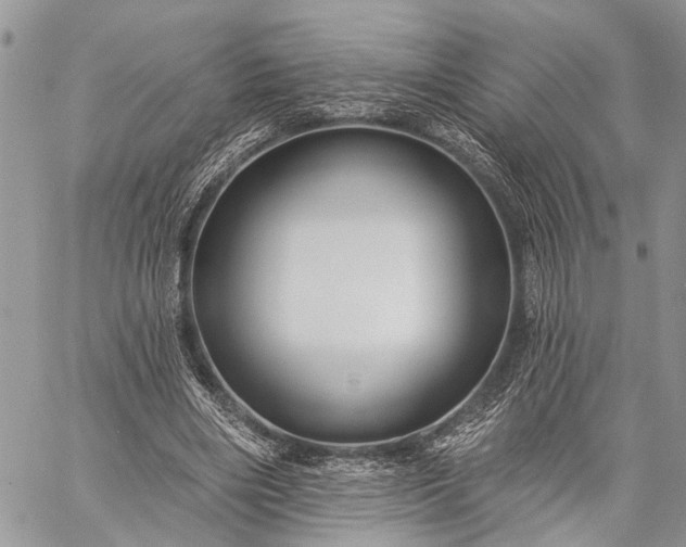 X0000059080490200510211545