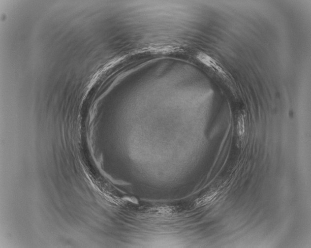 X0000059080492200510211545