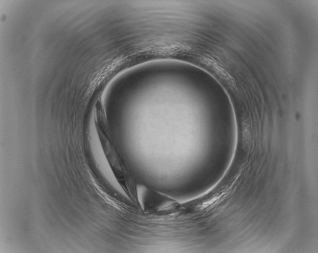 X0000059080493200510211545